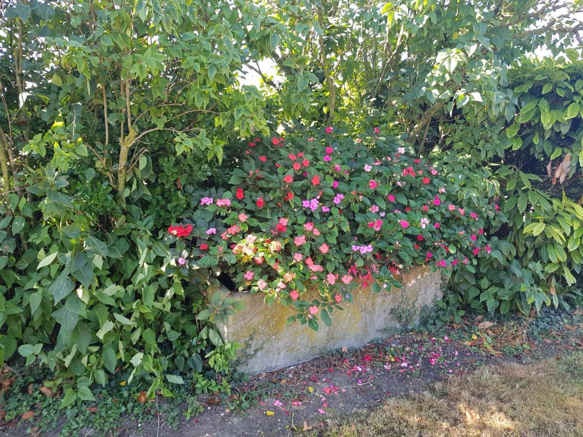 A La Campagne ,Halte ,Sejour Et Detente Moncontour  Luaran gambar